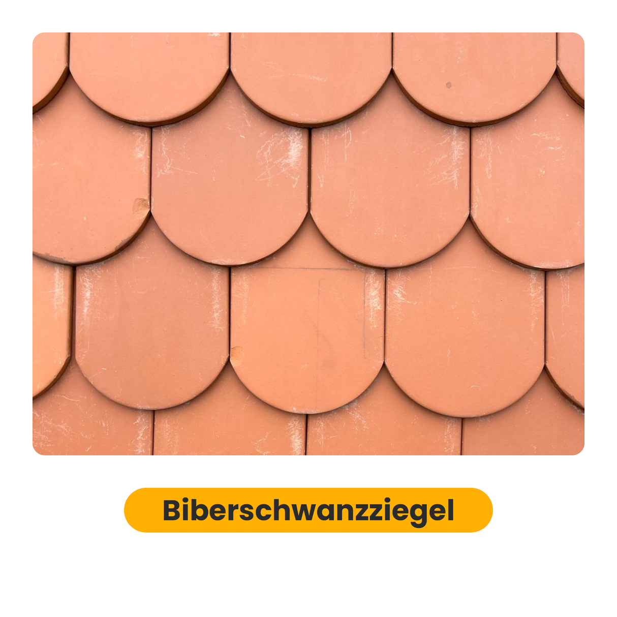 Clenergy Biberschwanzhaken